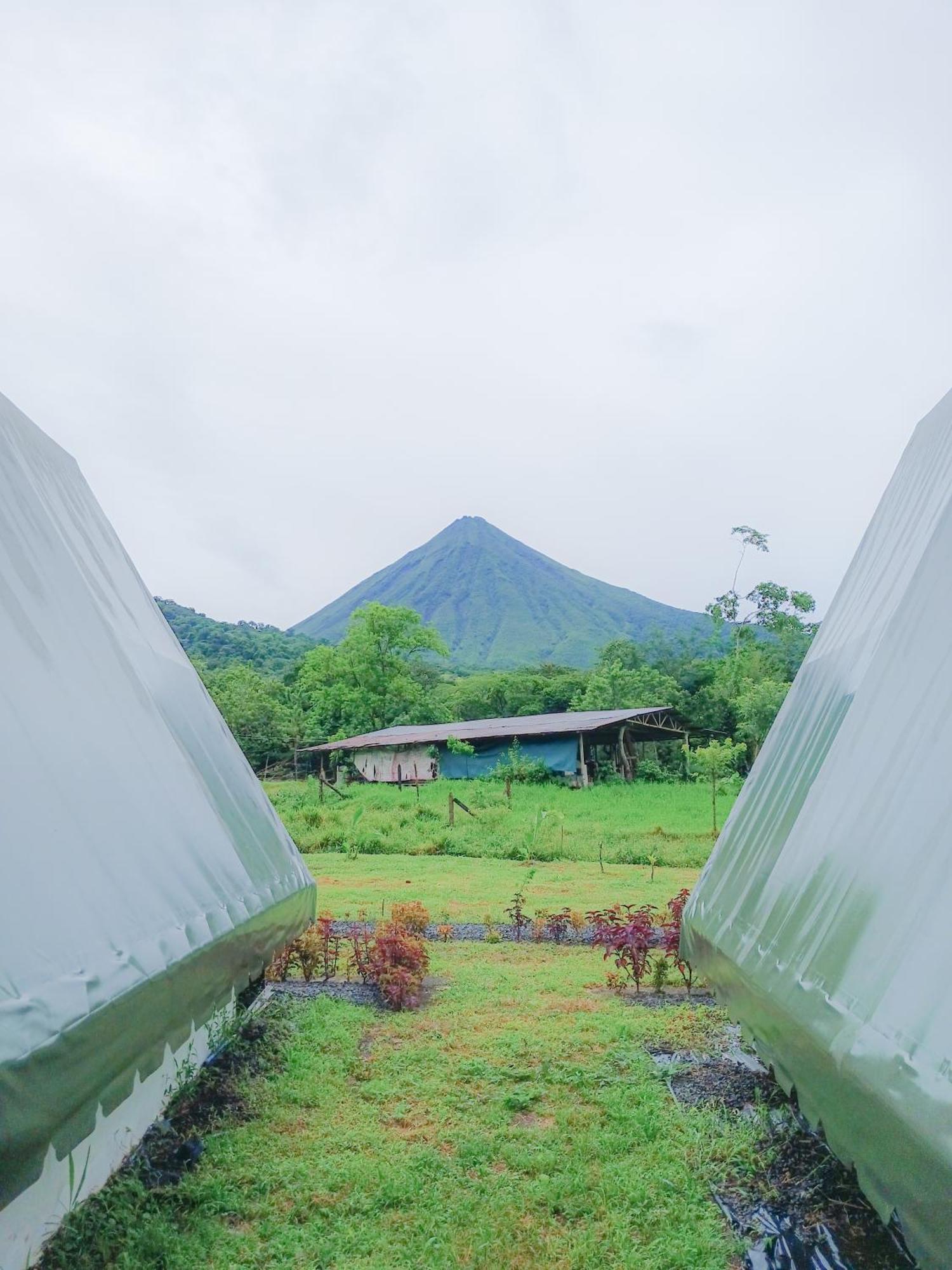 Villa Flora Glamping De Abuela La Fortuna Exterior foto