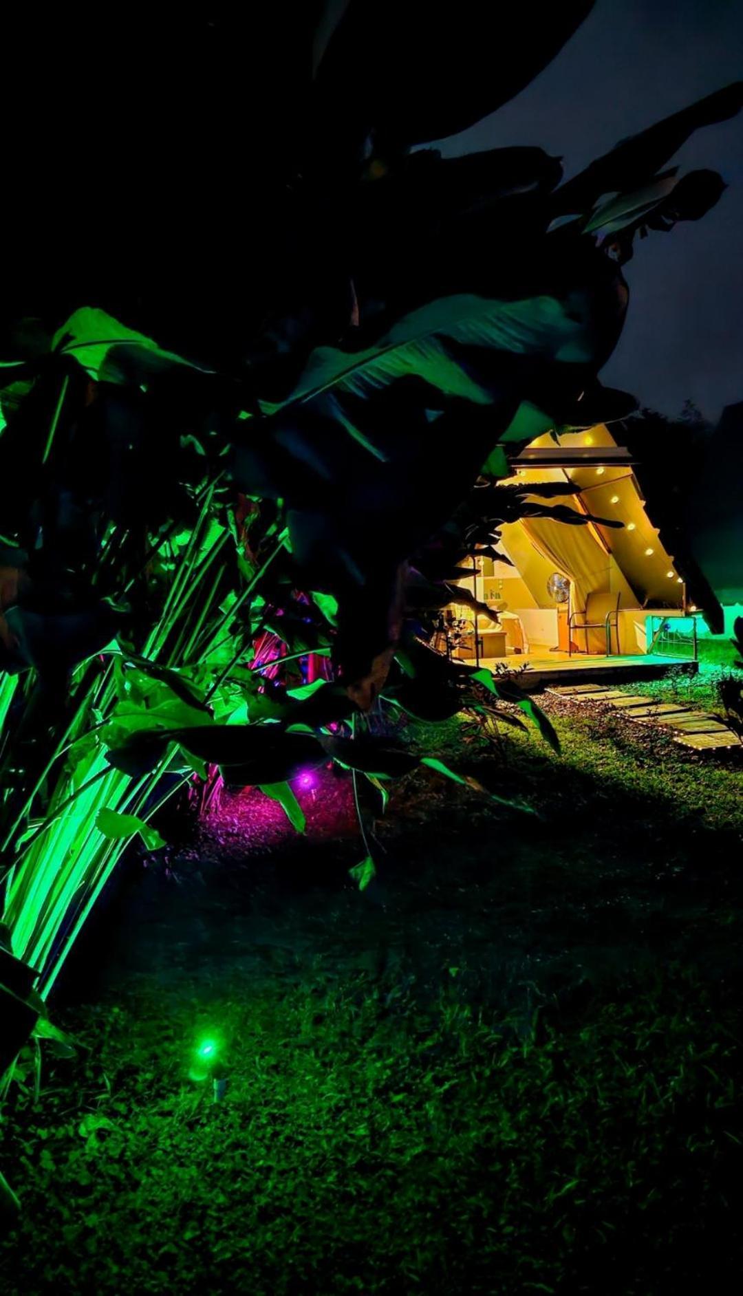 Villa Flora Glamping De Abuela La Fortuna Exterior foto